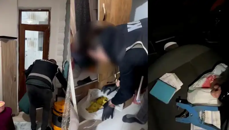 Hayvan Sevk Belgelerinde Usulsüzlük: Dev Operasyon ile Dokuz Gözaltı