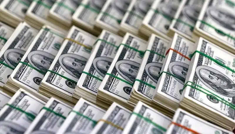 Doların Hızla Yükselişi Hakkında Kritik Uyarılar Geldi