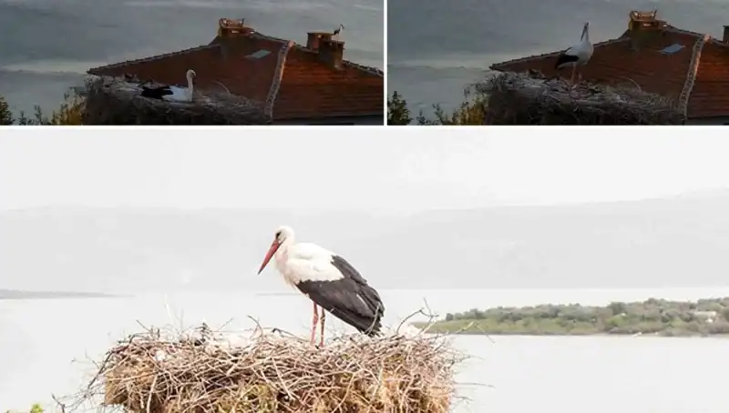 Yaren Leylek, Depremin Gelmesini Nasıl Hissetti? Gizemli Olay Açıklandı!