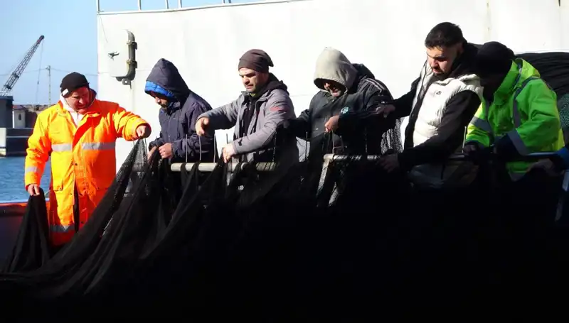 Hamsi Avında Şok Gelişme: Tekne Sahipleri Erken Veda Ediyor