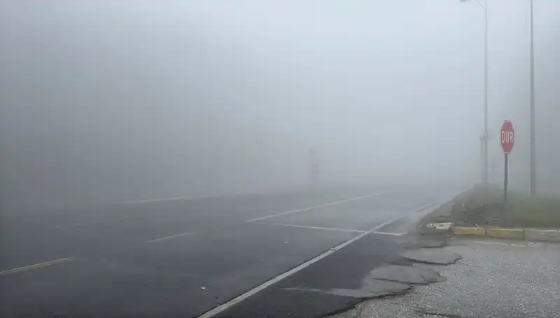 Bolu Dağı'nda Sis Büyüledi, Görüş Mesafesi Zayıfladı!