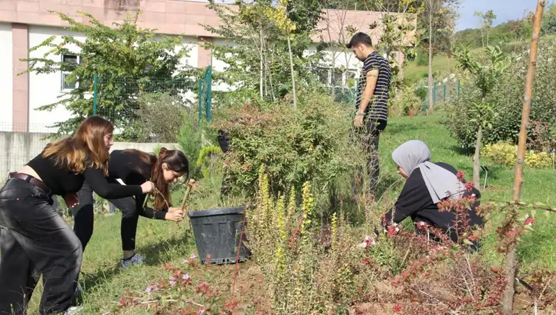 Düzce'nin Hayali Gerçek Oldu: Dünyaya Açılan Bir Kapı
