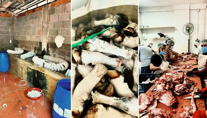 Adana'da Şok Edici Skandal: Yüzlerce Kilo Paça Ele Geçirildi