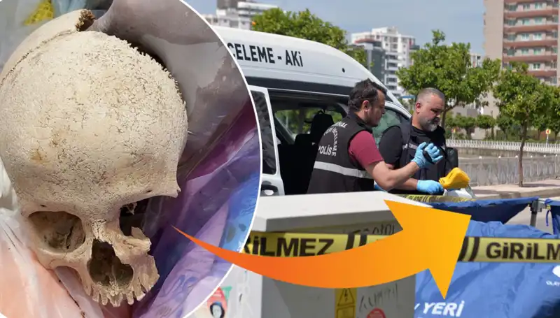 Sitenin Çöpünden Çıkan Kafatası: Gizemli Olayın Perde Arkası Ortaya Çıktı!