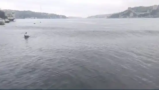 İstanbul'u Sarsan Deprem: Denizdeki Dalgalar Yükseldi