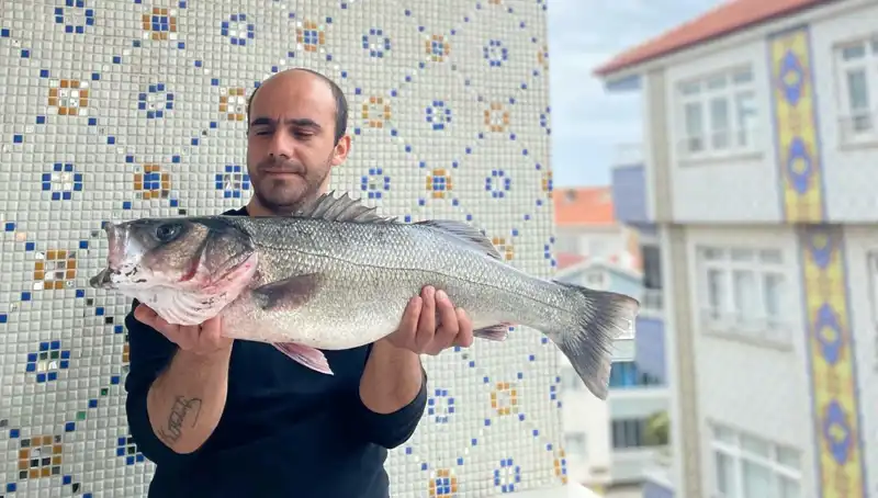 7,5 Kiloluk Dev Levrek Avı: Balık Tutkunlarının Gözdesi Oldu!