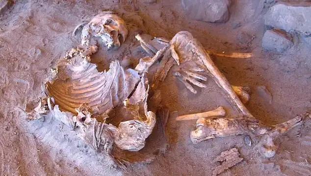 Yeni Mumya Keşfi: İnsanlığın Soy Ağacı Tarihini Yeniden Yazıyor