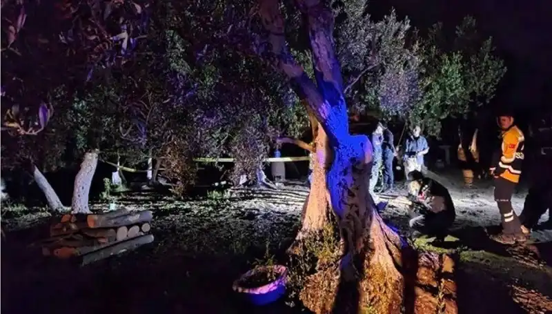 Çiftlikte Baltalı Vahşet: Bir Kişi Tutuklandı, Detaylar Şok Edici!