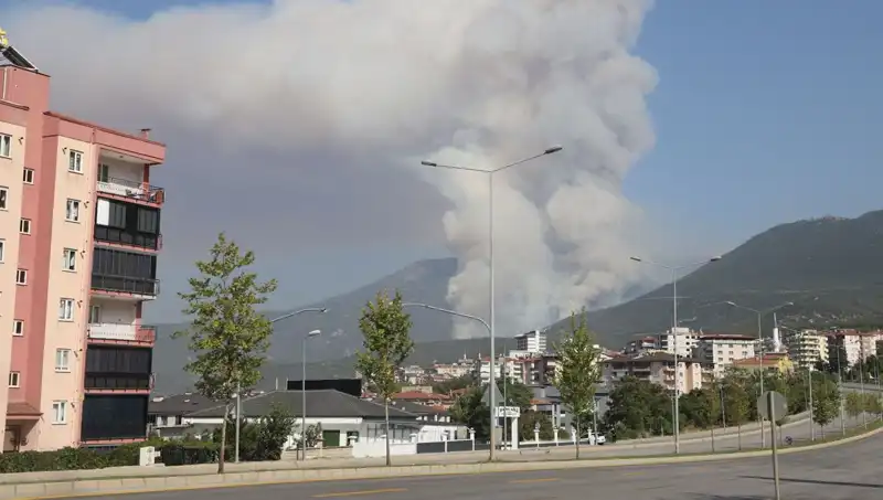 Denizli'de Şok Edici Orman Yangını! Gözaltı Süreci Başladı
