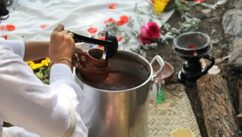 Ayahuasca: Bilim, Dini Ritüeller ve Yasakların Gölgesinde Bir Keşif