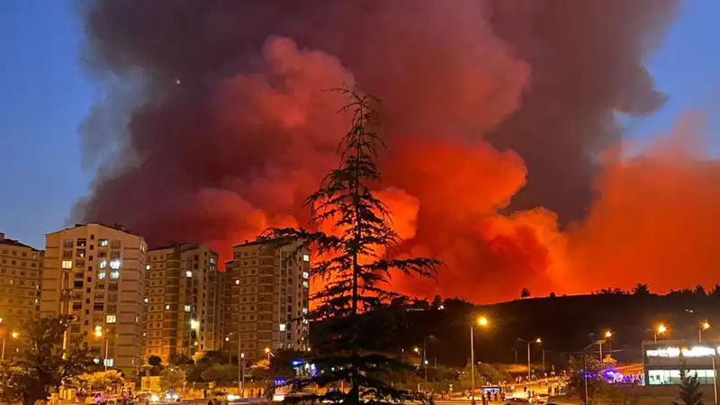 Bursa'da Yangınlar Korkutucu Şekilde Şehri Sarıyor