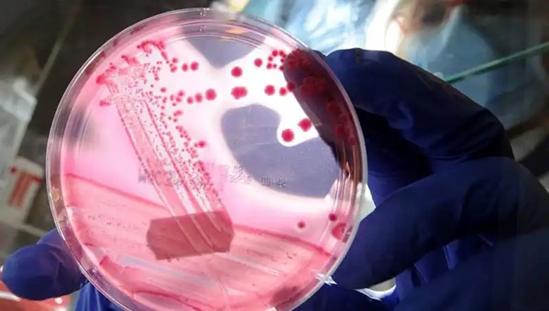 Yaşlanmayı Geri Almanın Anahtarı: AP2A1 Proteini ve Sonuçları