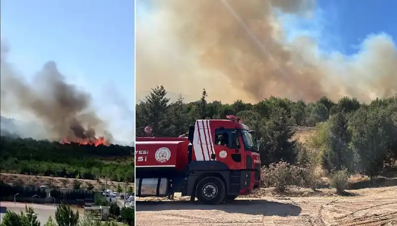 Gebze'de Korkutan Orman Yangını: Doğa ve Hayat Tehlikede!