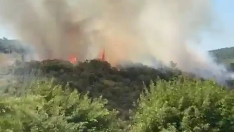 İstanbul'da Yangın Felaketi: Ormanlık Alanlar Alev Alev, Vatandaşlar Tahliye Edildi
