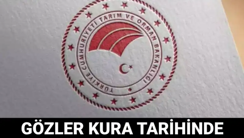 OGM İşçi Alımı Kurası Hakkında İhtiyaç Duyduğunuz Her Şey Burada!